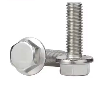 Flange Head Screws